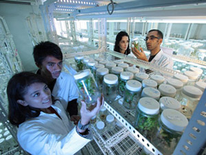 Science Laboratory DDOS接单平台